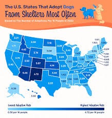 Pet Dogs in the USA