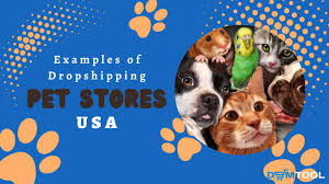 Pets in the USA