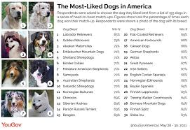 Popular Dog Breeds