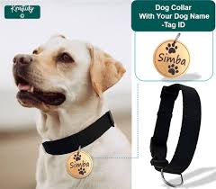 dog neck belt