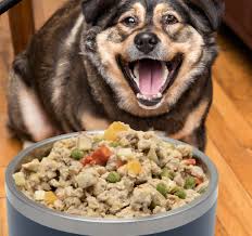 Dog Food