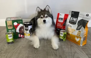 Pet Food Brands 