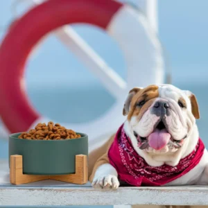 Best Dog Food for Bulldogs