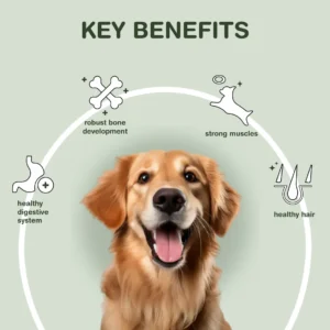 Key Benefits