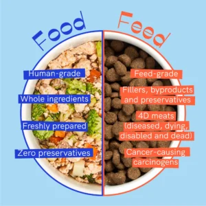 Food Comparison