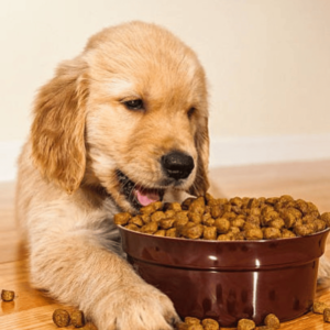 TLC Pet Food: