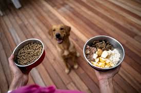 Compare Pet Food Ingredients