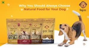  Choose National Dog Food