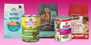 AAFCO-Approved Vegan Dog Food