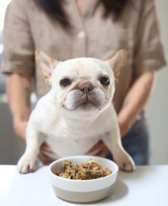 Best Dog Food for Bulldogs