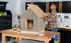 Indoor Dog Houses