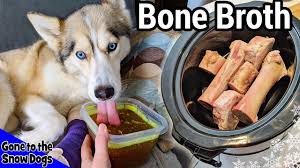 Meat and Bone Meal in Dog Food