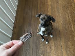 Make Jerky Dog Treats