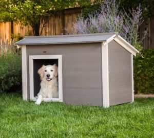 Heated Dog Houses