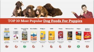 Pet Food Brands