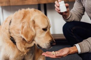 pet-health-products