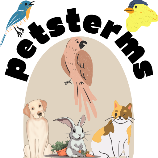 Pets Terms